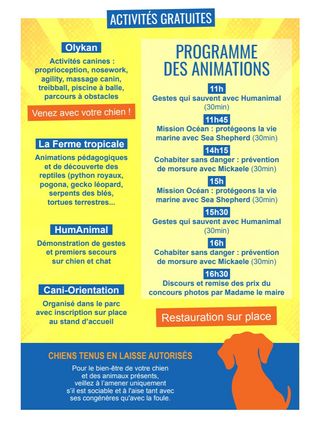 Agrandir l'image, .JPG 238 Ko (fenêtre modale)