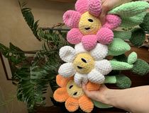 Agrandir l'image, .JPEG 2,5 Mo (fenêtre modale)