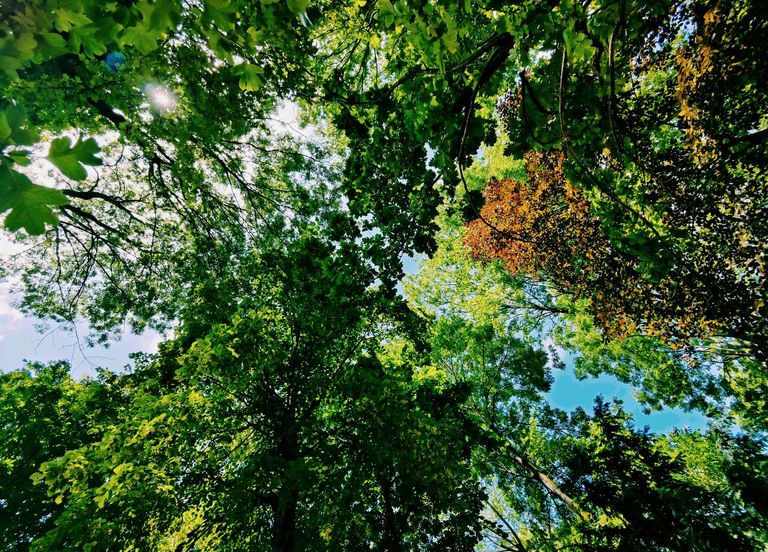 Le Parc de Ladoucette ouvert jusqu'à minuit