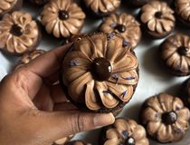 Agrandir l'image, .JPG 335,1 Ko (fenêtre modale)