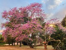 Agrandir l'image, .JPEG 381,0 Ko (fenêtre modale)