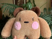 Agrandir l'image, .JPEG 2,5 Mo (fenêtre modale)