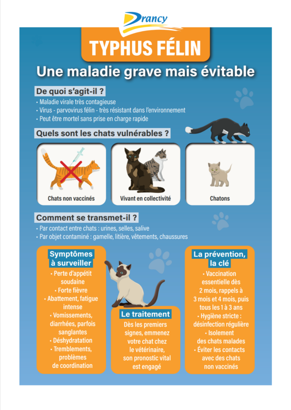 Agrandir l'image, .PNG 596 Ko (fenêtre modale)