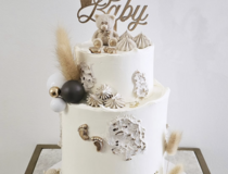 Agrandir l'image, .PNG 3,0 Mo (fenêtre modale)