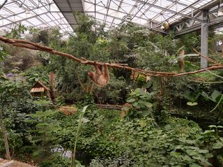 Agrandir l'image, .JPG 1 Mo (fenêtre modale)