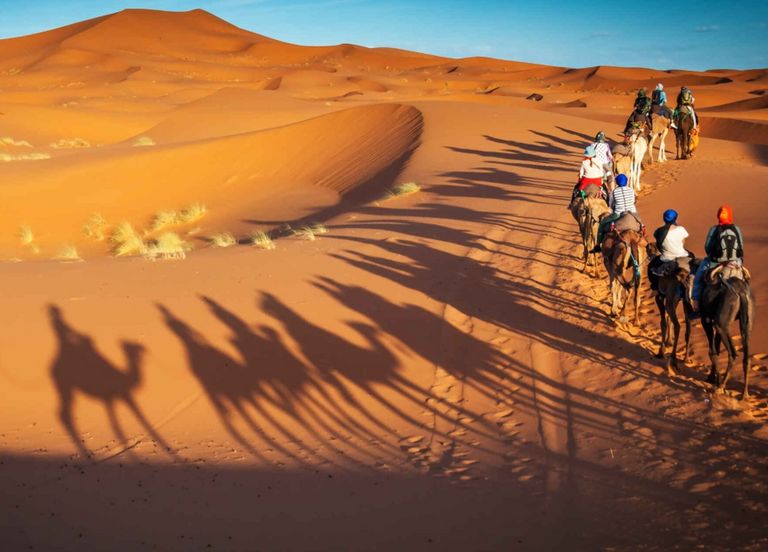 Forum des séjours dété