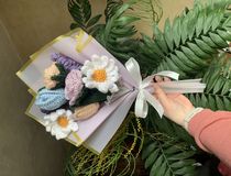 Agrandir l'image, .JPEG 3,1 Mo (fenêtre modale)