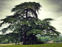 Agrandir l'image, .JPG 216,3 Ko (fenêtre modale)